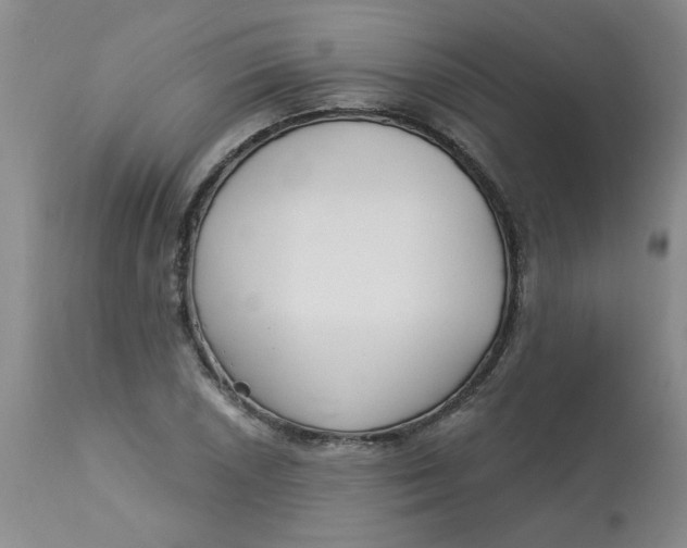 X0000113161026200909251347