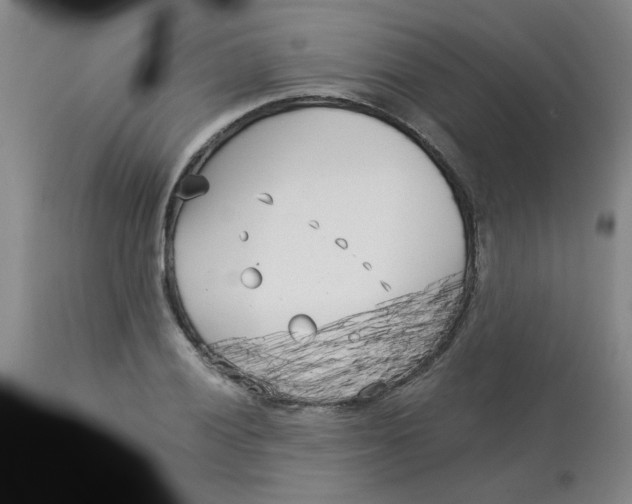 X0000113161028200909251347