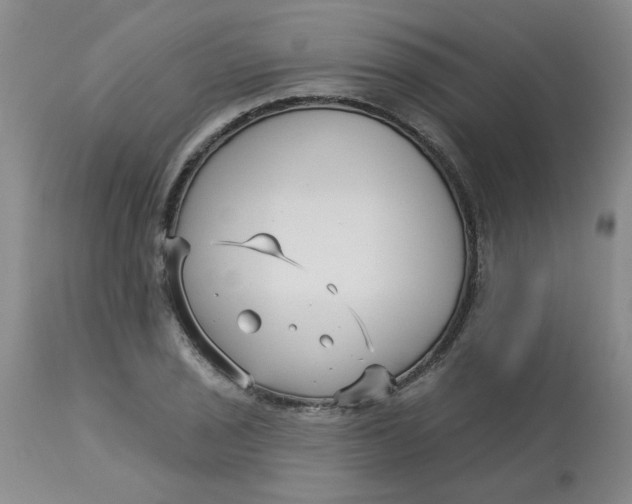 X0000113161029200909251347