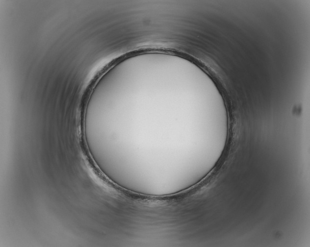 X0000113161030200909251347