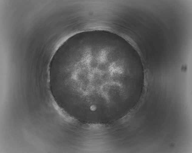 X0000113161031200909251347