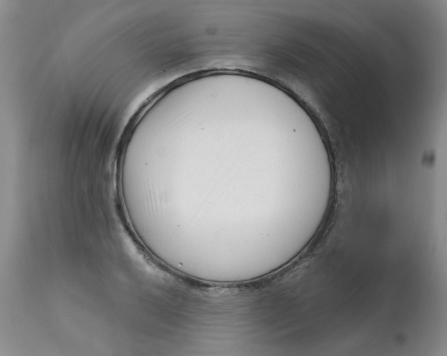 X0000113161032200909251347