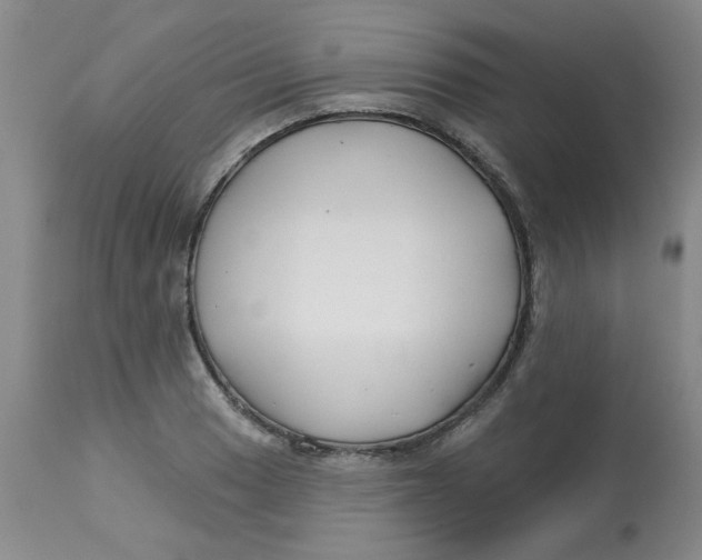 X0000113161033200909251347