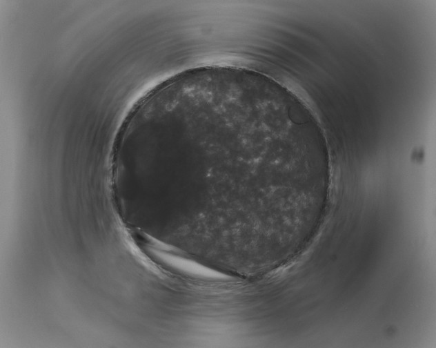 X0000113161037200909251347