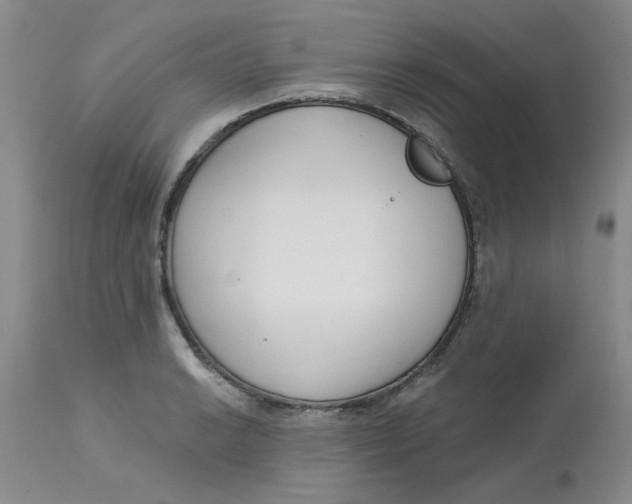 X0000113161038200909251347