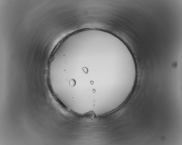 X0000113161040200909251347