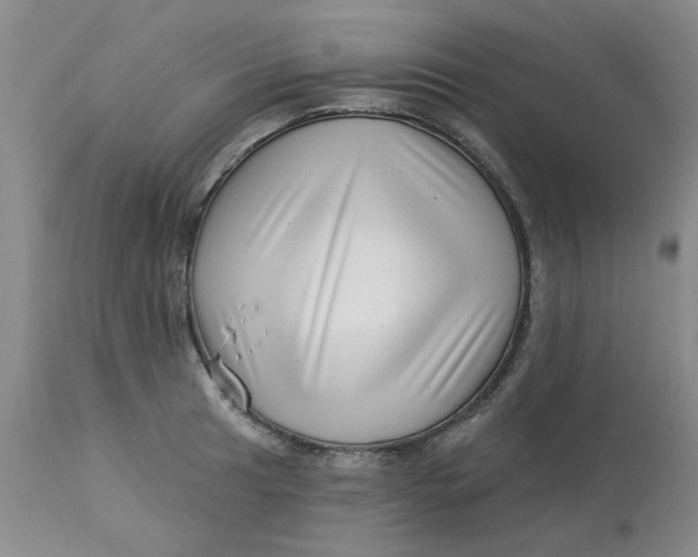 X0000113161041200909251347