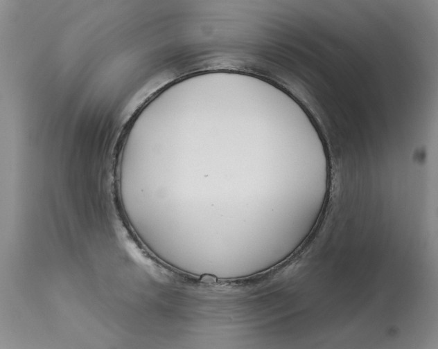 X0000113161042200909251347