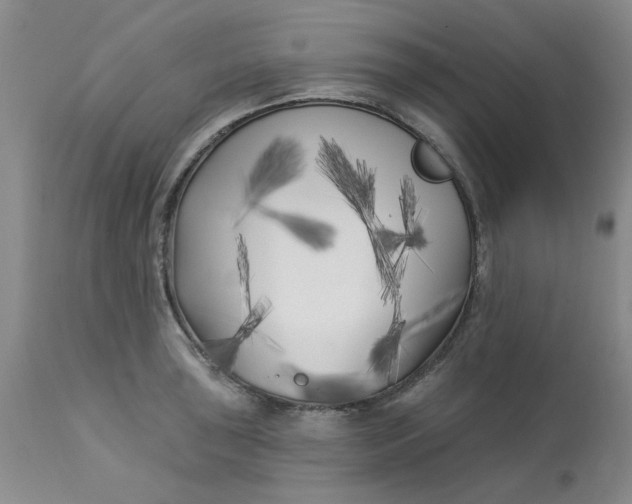 X0000113161043200909251347