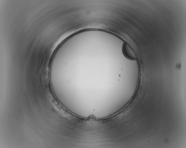 X0000113161044200909251347