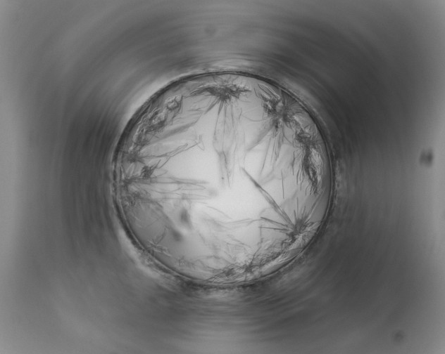 X0000113161047200909251347