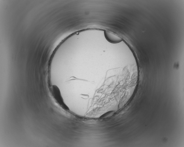 X0000113161048200909251347