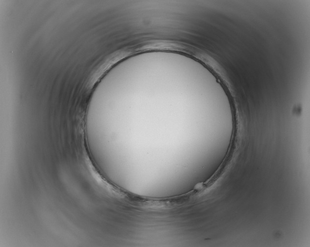 X0000113161049200909251347