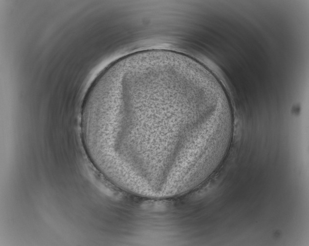 X0000113161051200909251347