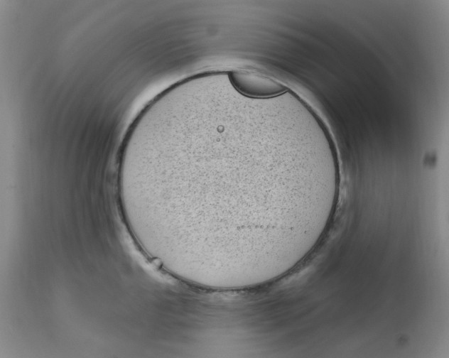 X0000113161053200909251347