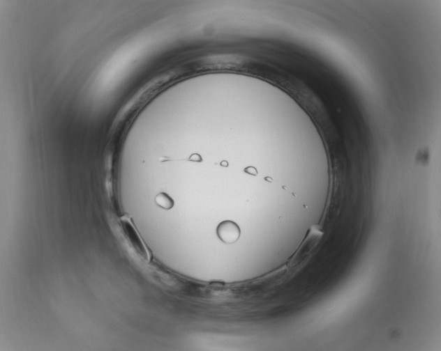 X0000113161054200909251347