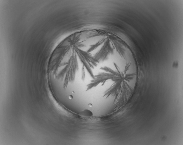 X0000113161055200909251347