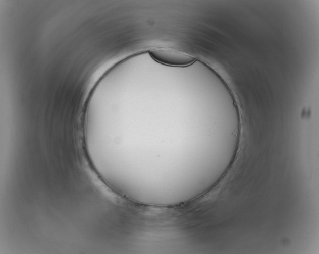 X0000113161056200909251347