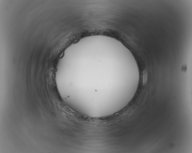 X0000113161059200909251346