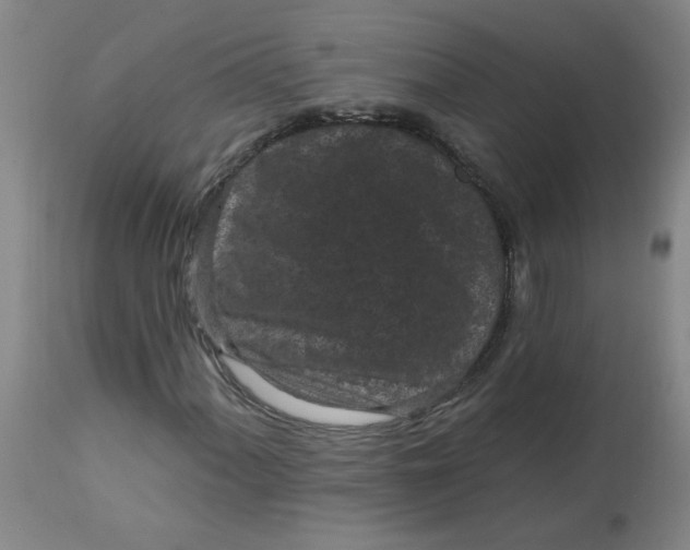 X0000113161060200909251346