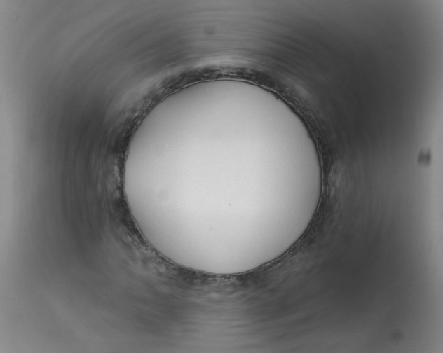 X0000113161062200909251346