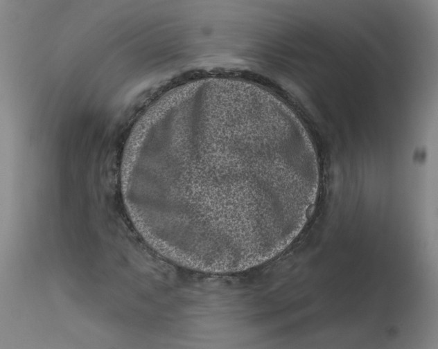 X0000113161063200909251346