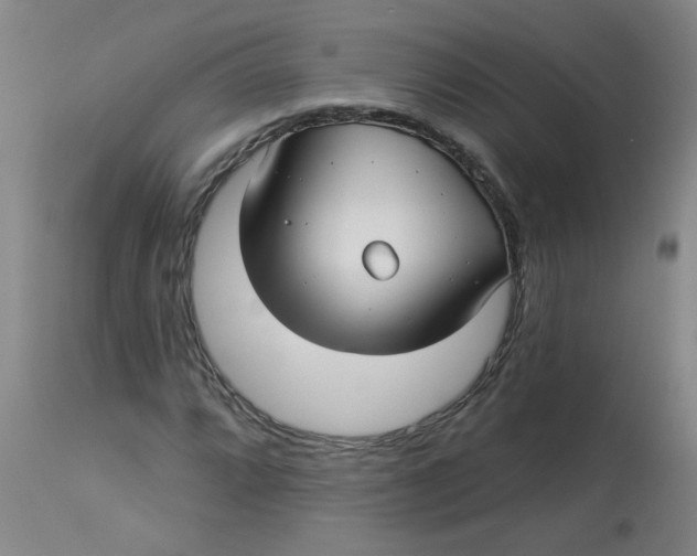 X0000113161064200909251346