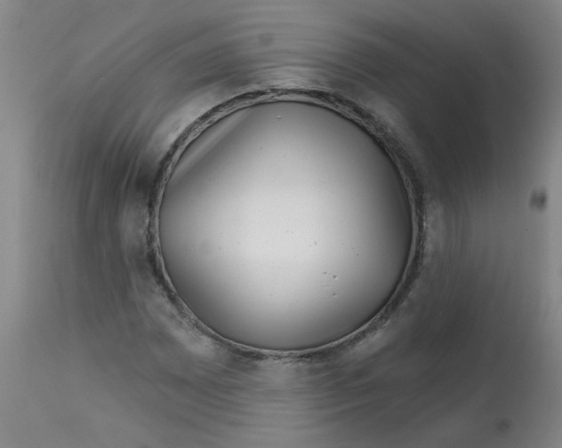 X0000113161065200909251346