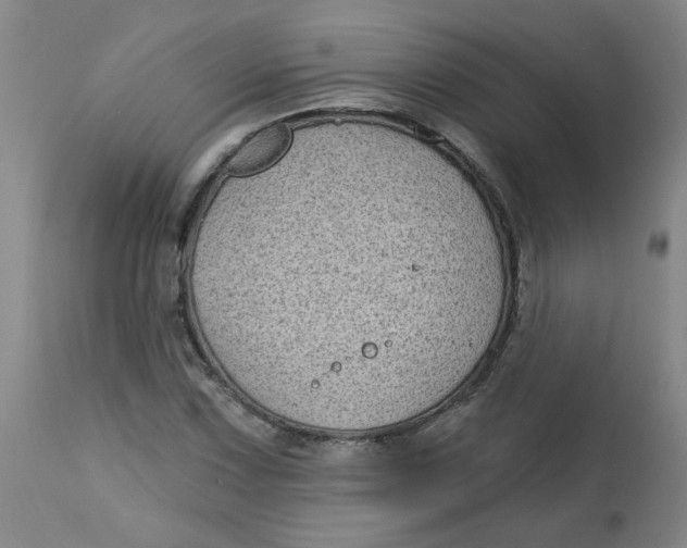 X0000113161067200909251346