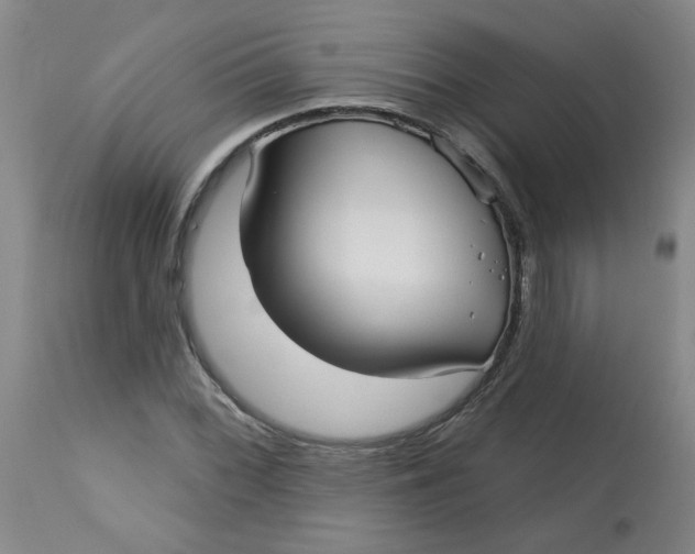 X0000113161068200909251346