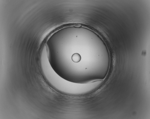 X0000113161069200909251346