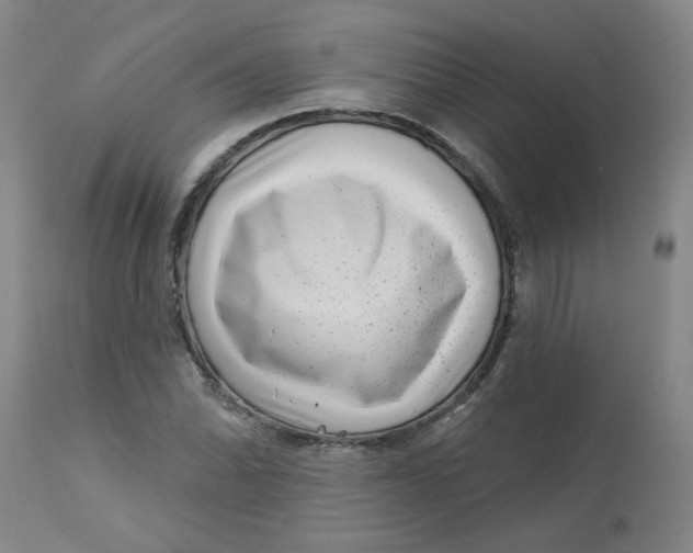 X0000113161070200909251346