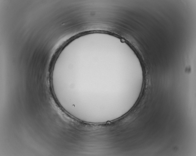 X0000113161072200909251346