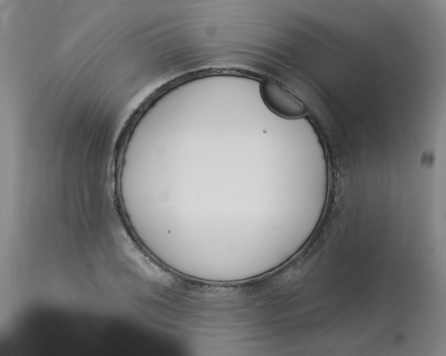 X0000113161076200909251346