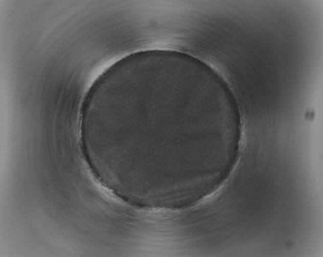 X0000113161077200909251346