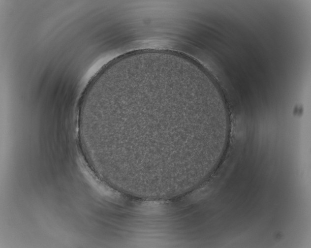 X0000113161078200909251346