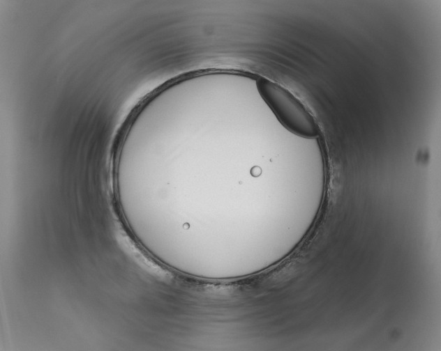 X0000113161080200909251346