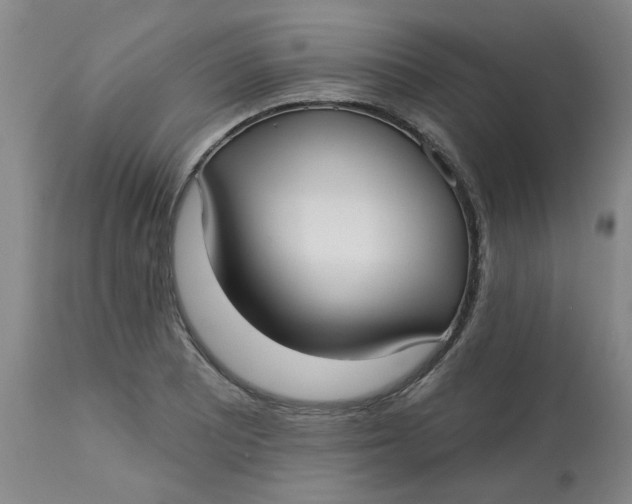 X0000113161081200909251346