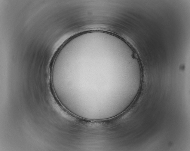 X0000113161082200909251346