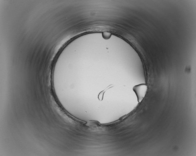 X0000113161083200909251346