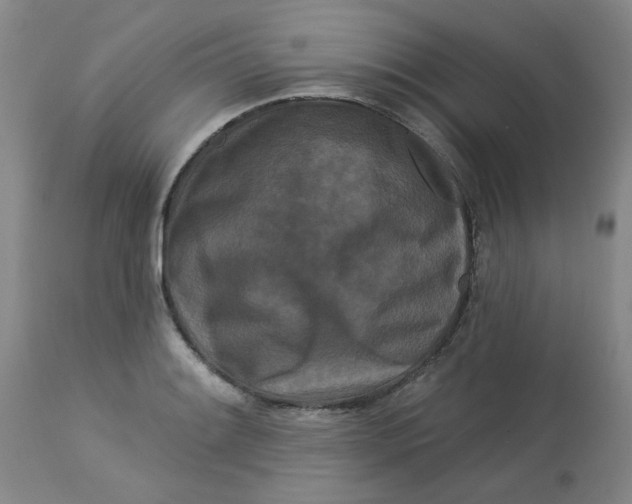 X0000113161084200909251346