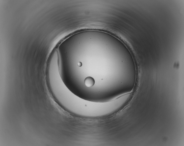 X0000113161085200909251346