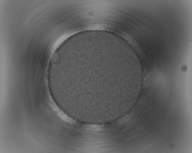 X0000113161086200909251346