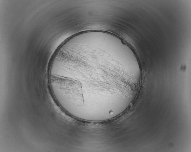 X0000113161087200909251346