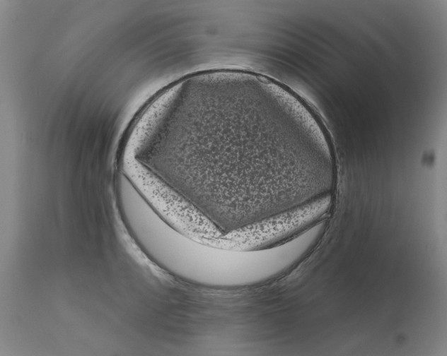 X0000113161088200909251346