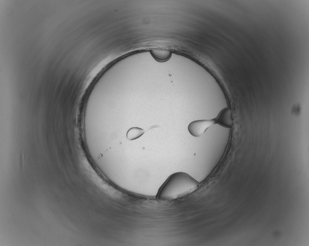 X0000113161091200909251346