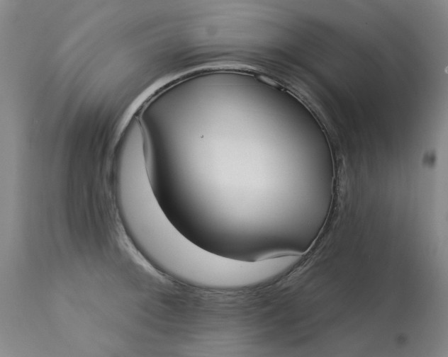 X0000113161092200909251346