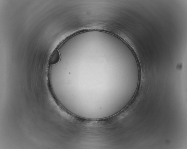 X0000113161093200909251346