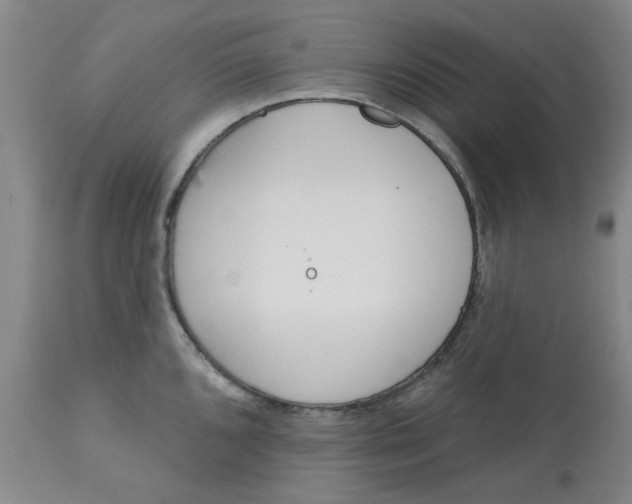 X0000113161096200909251346