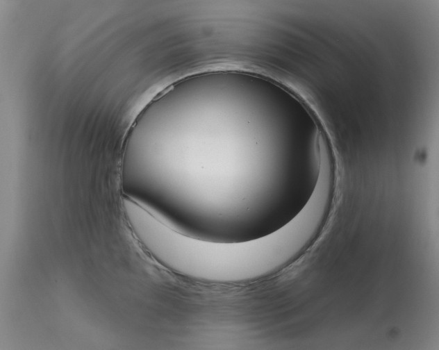 X0000113161097200909251346